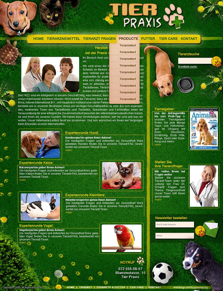 Webdesign der Infoseite